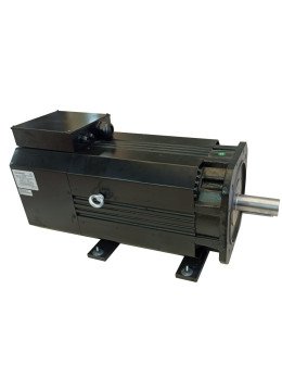 Spindle Servo Motor 45 kW
